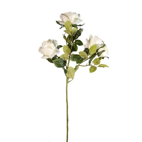 ROSA EQUADOR SPRAY WHITE